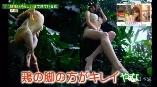 那个毁三观的日本网红“鸡肉小姐”出写真集了！